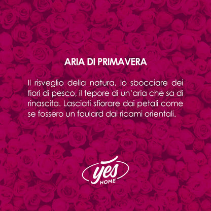 GRANULI PROFUMATI CLASSIC ARIA DI PRIMAVERA PER ASPIRAPOLVERE CON SACCO
